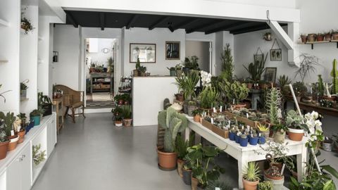 L’œil Végétal a reçu à Jardins, jardin le titre de Green Boutique 2019. Un concours annuel dont l’objectif est de « promouvoir les initiatives commerciales audacieuses, sensibles et durables qui contribuent à (re) connecter les habitants des villes au monde du végétal ».